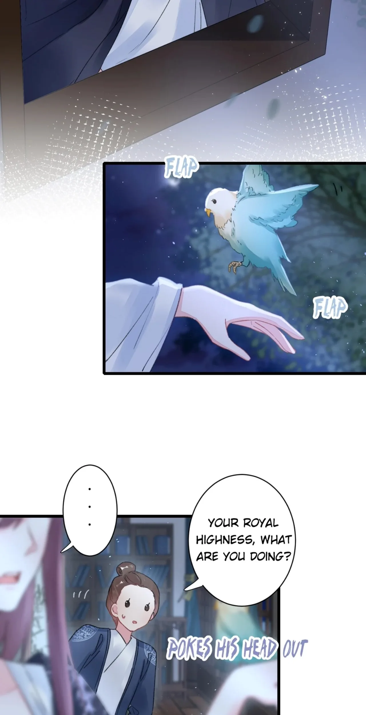Image page 17