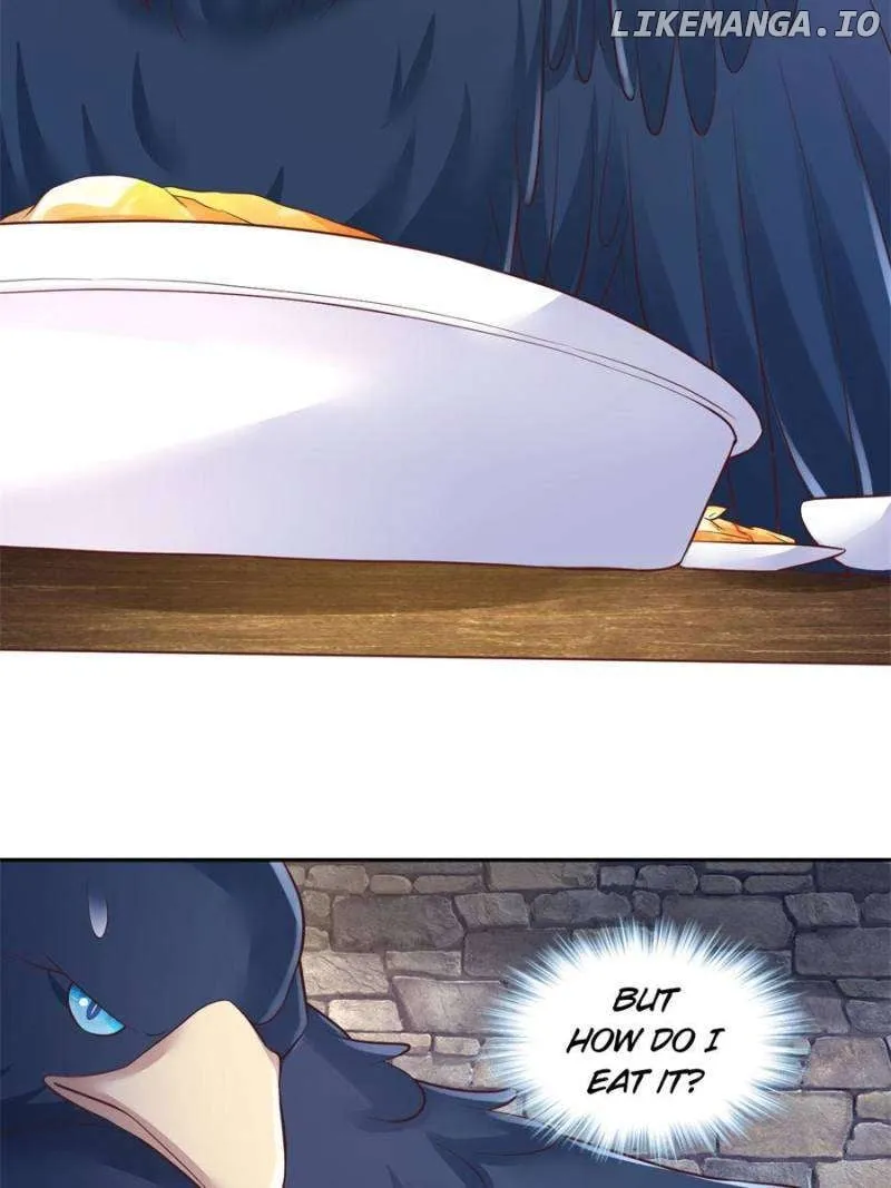 Image page 10