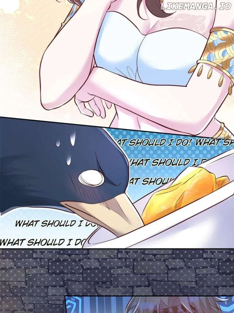 Image page 13