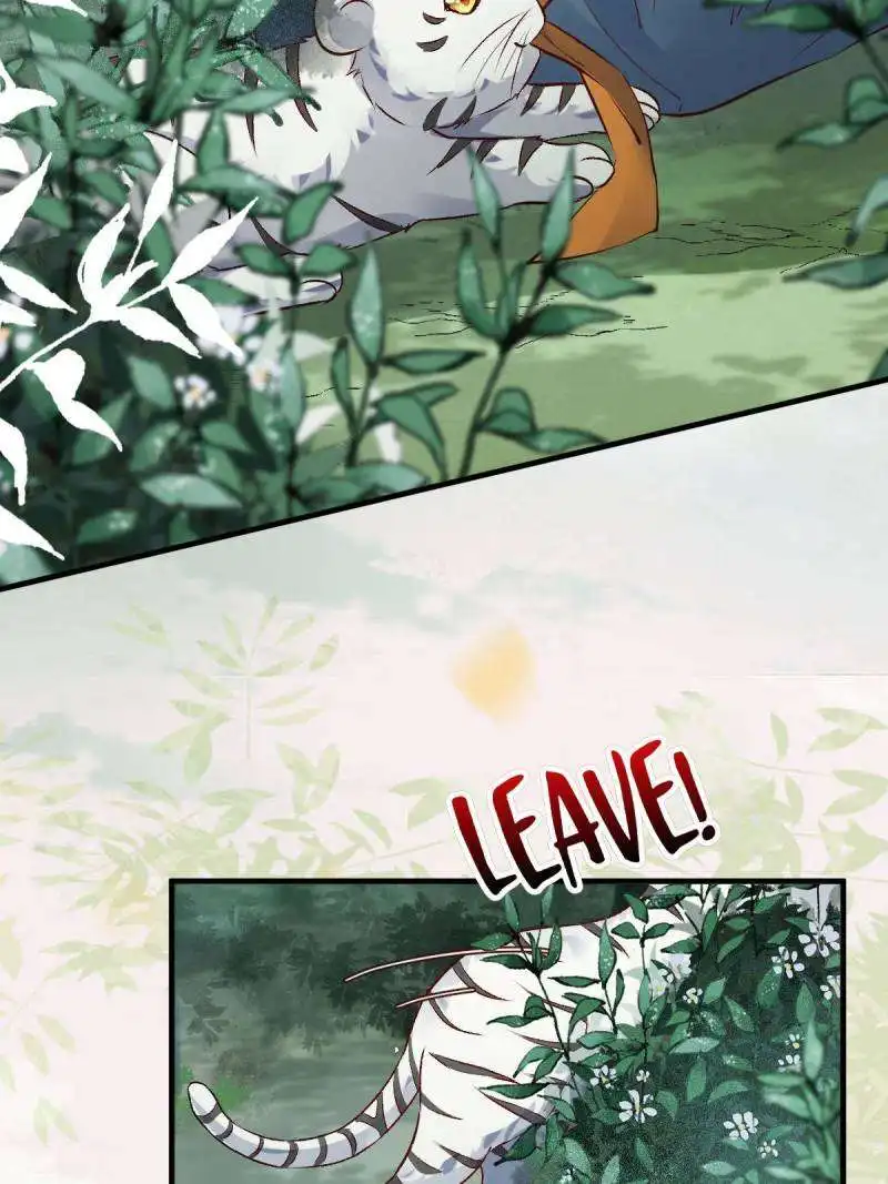 Image page 10