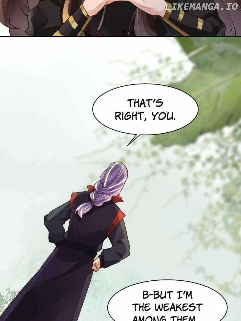 Image page 8