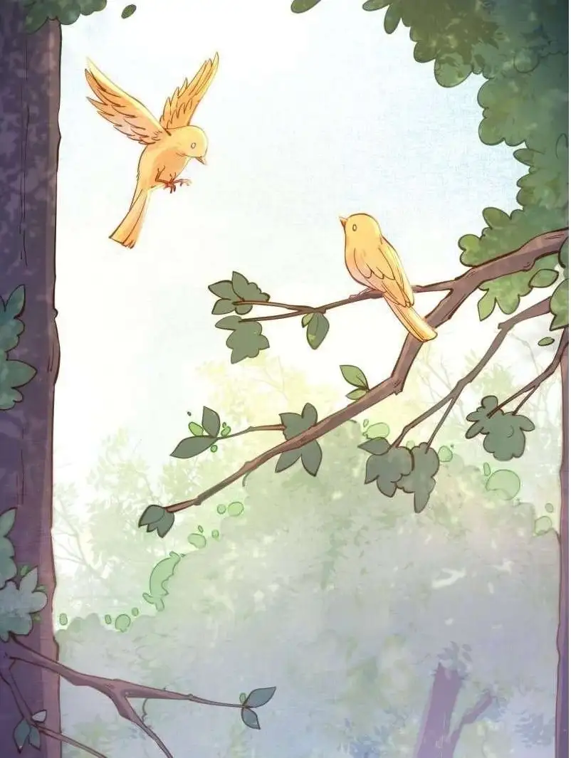 Image page 0