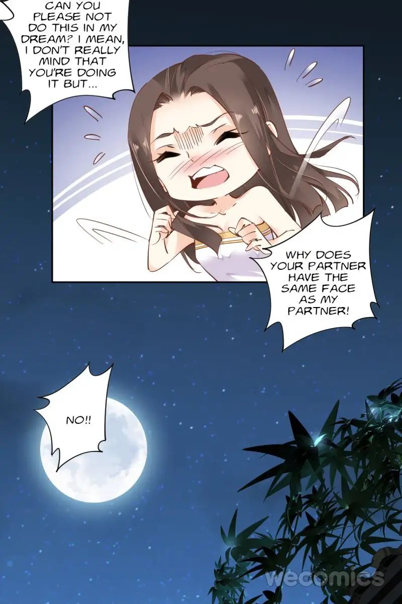 Image page 13