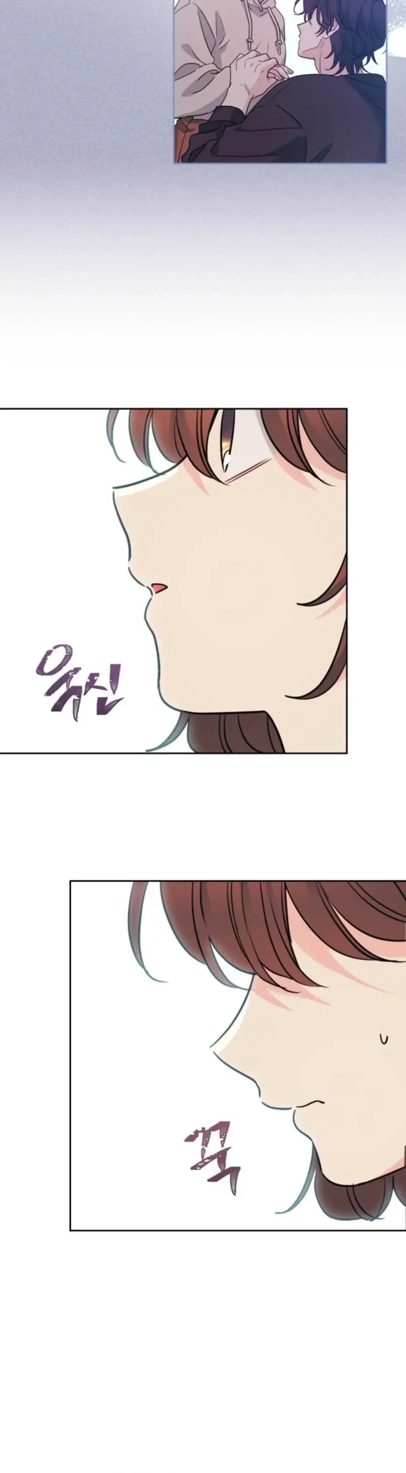 Image page 13