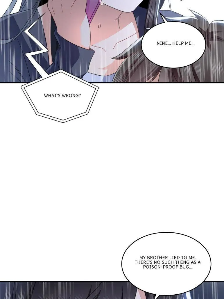 Image page 35