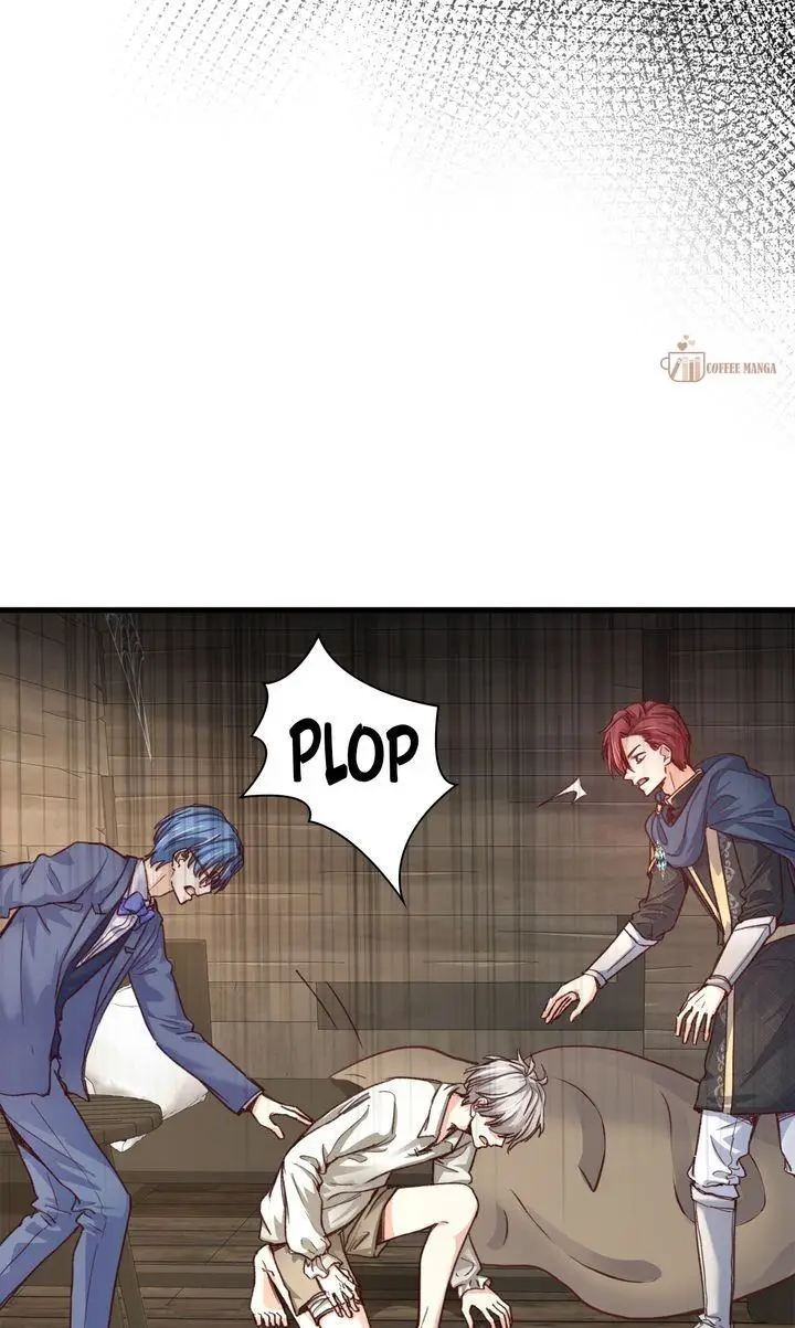 Image page 11