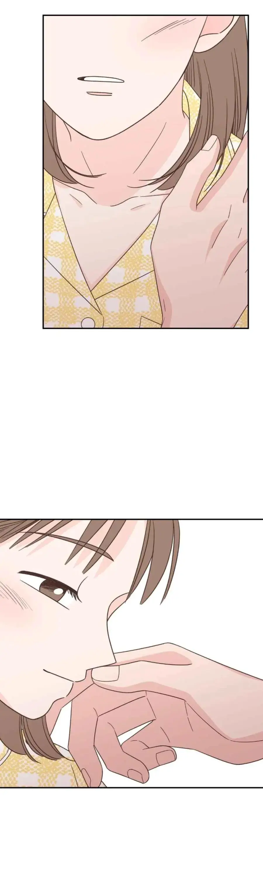 Image page 12