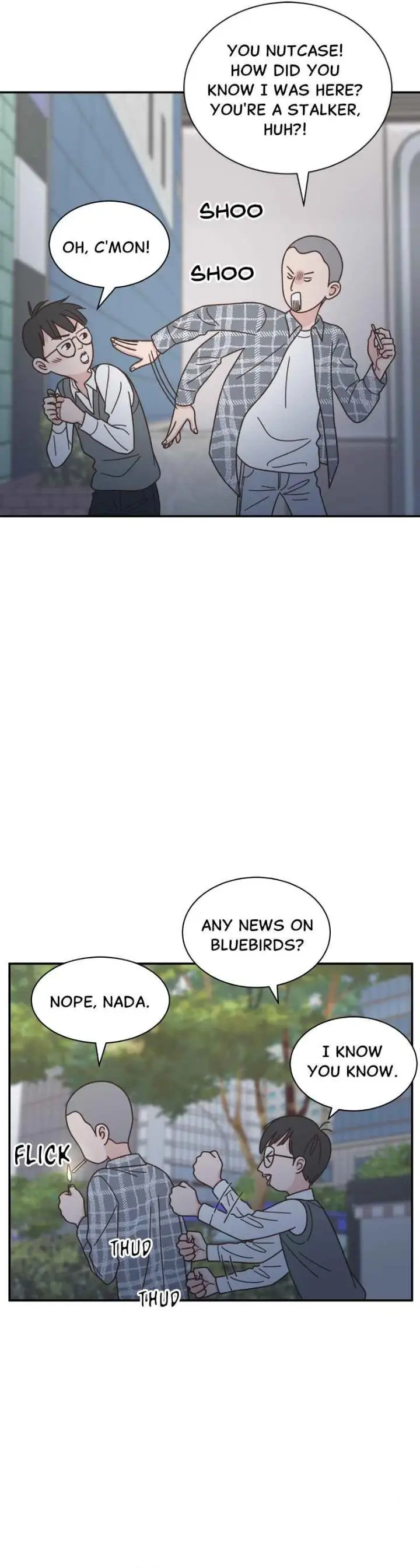 Image page 16