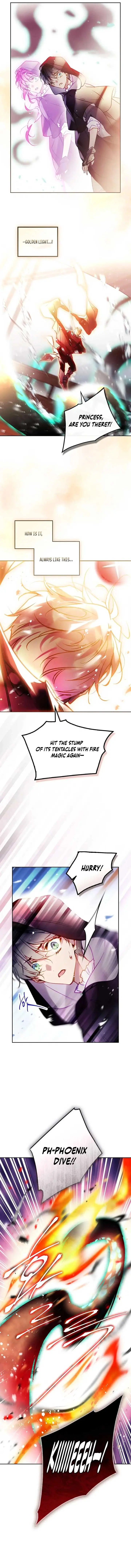 Image page 7