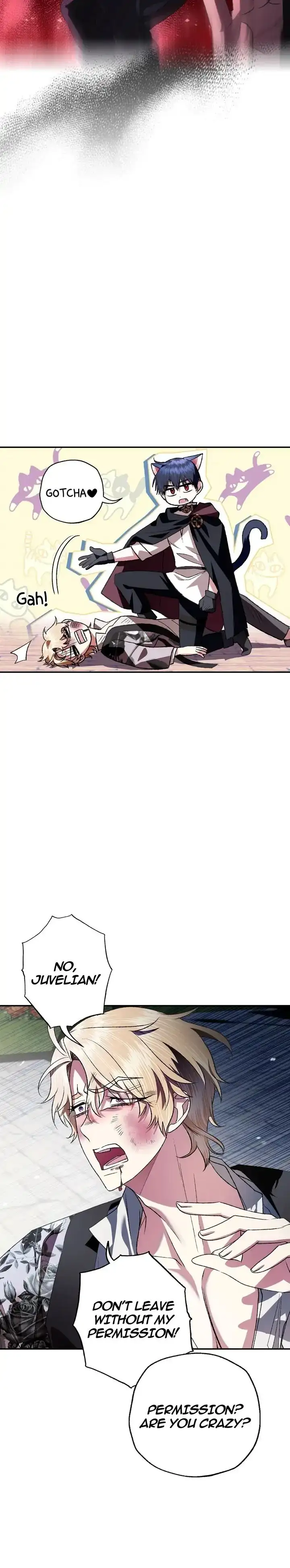 Image page 17