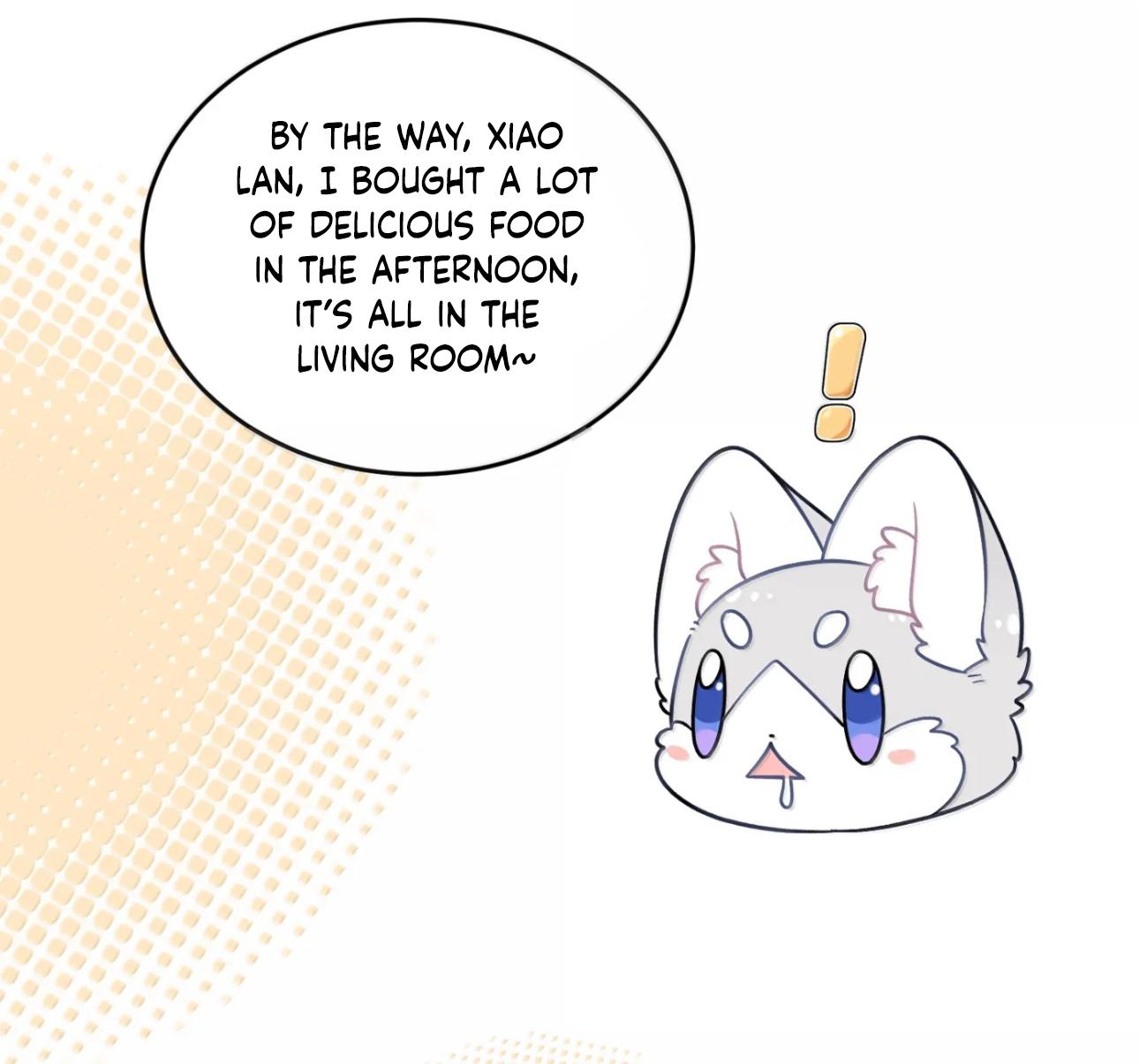 Image page 13