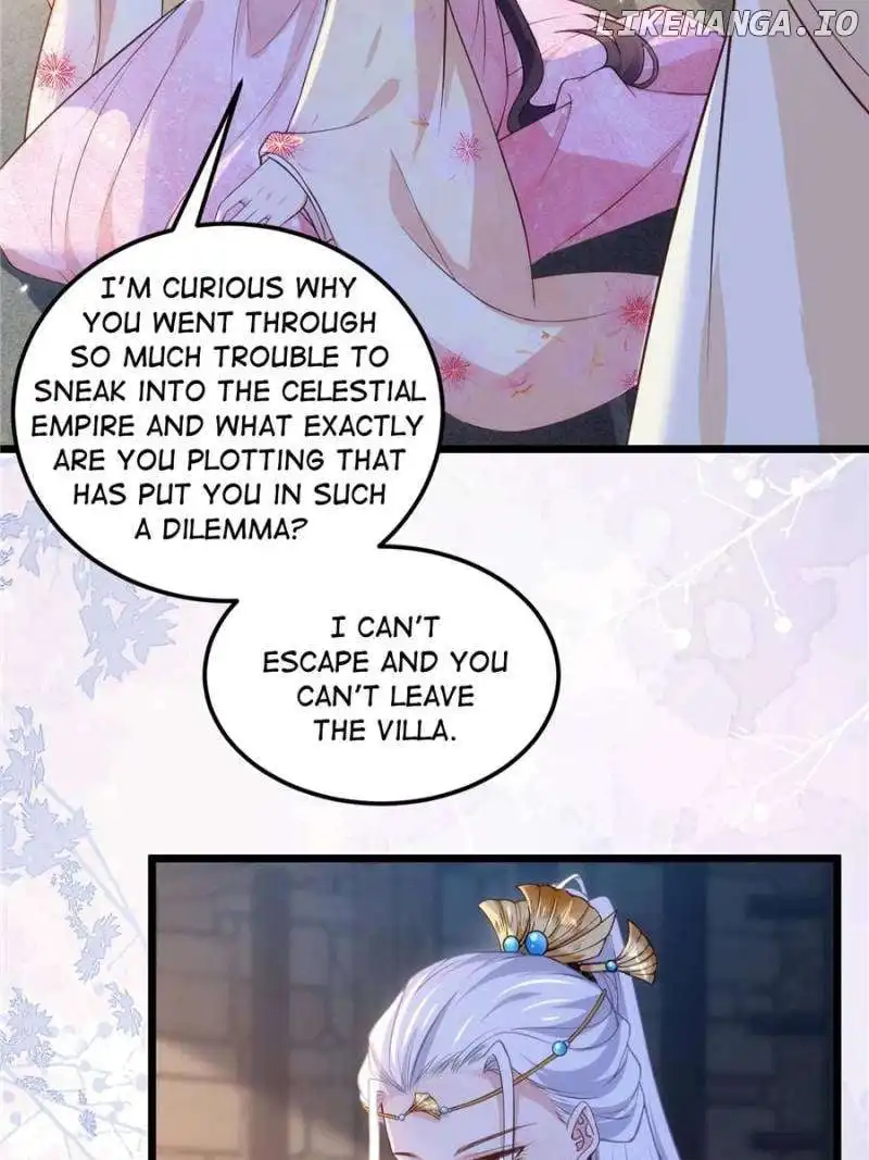 Image page 14