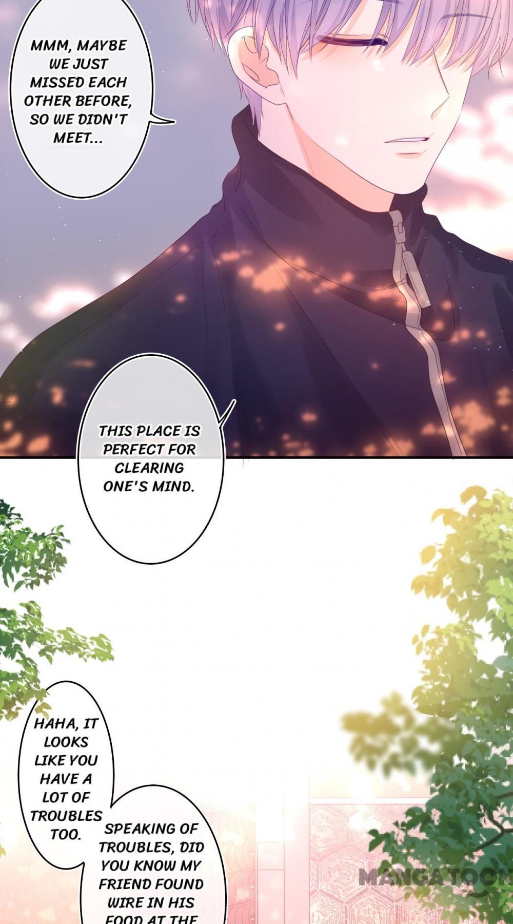 Image page 24