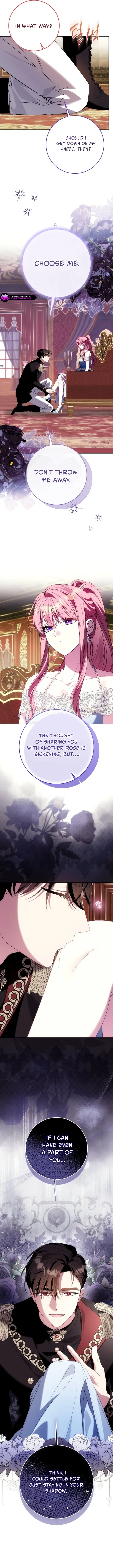 Image page 11