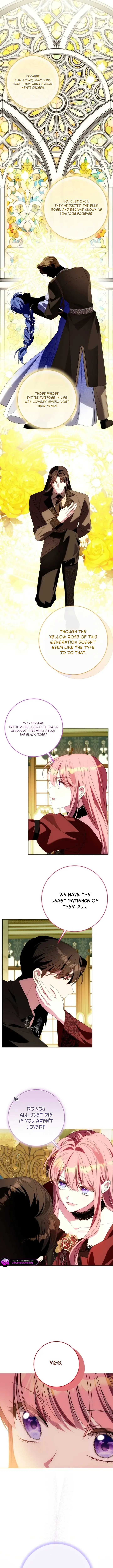 Image page 10