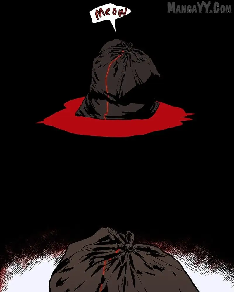 Image page 29