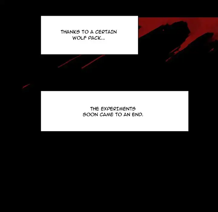 Image page 6