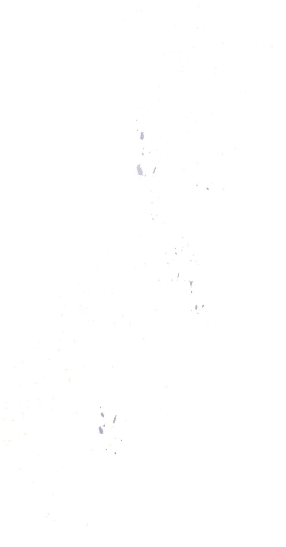 Image page 95