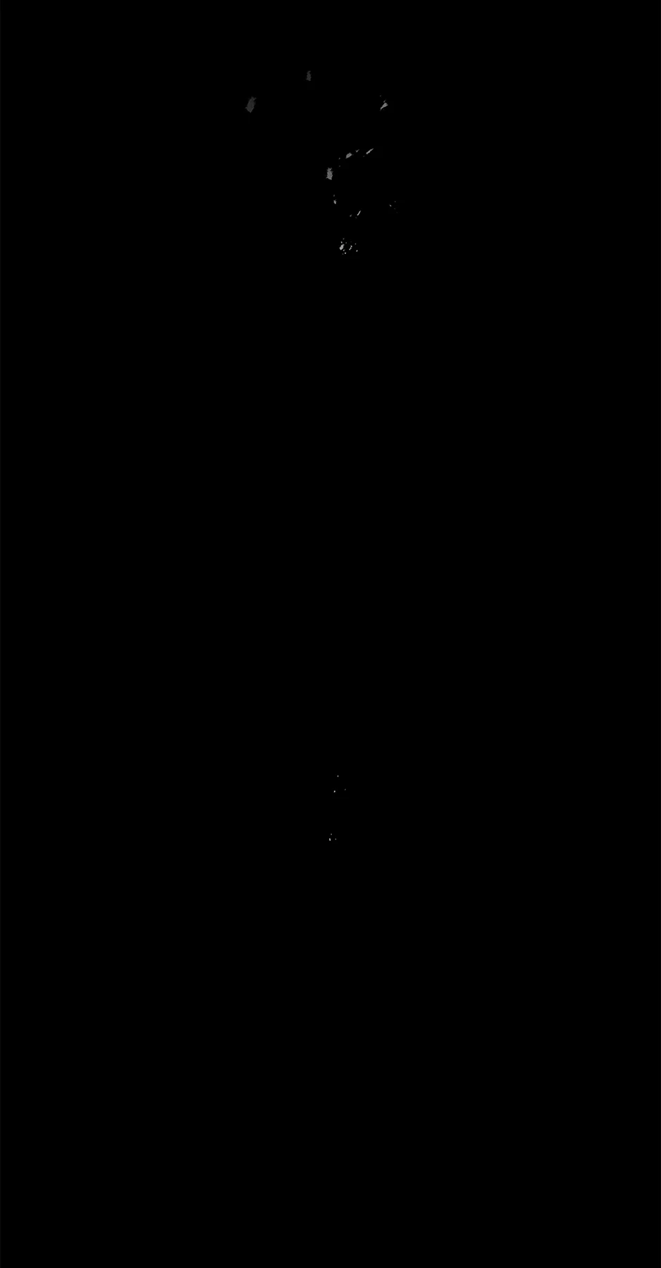 Image page 84