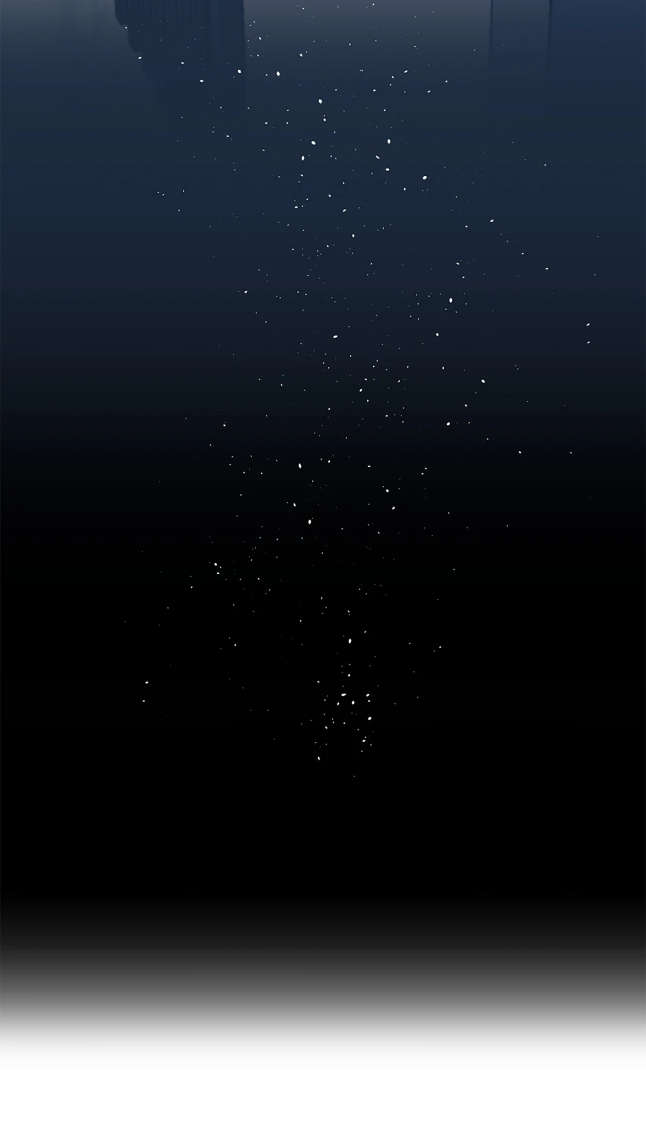 Image page 11