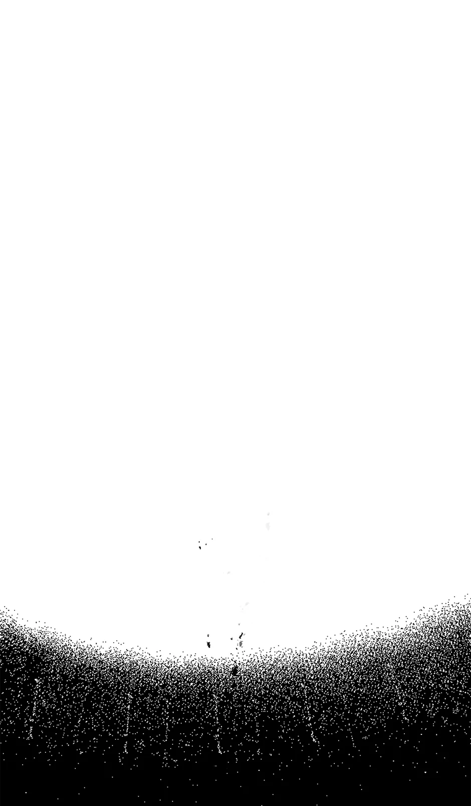 Image page 11
