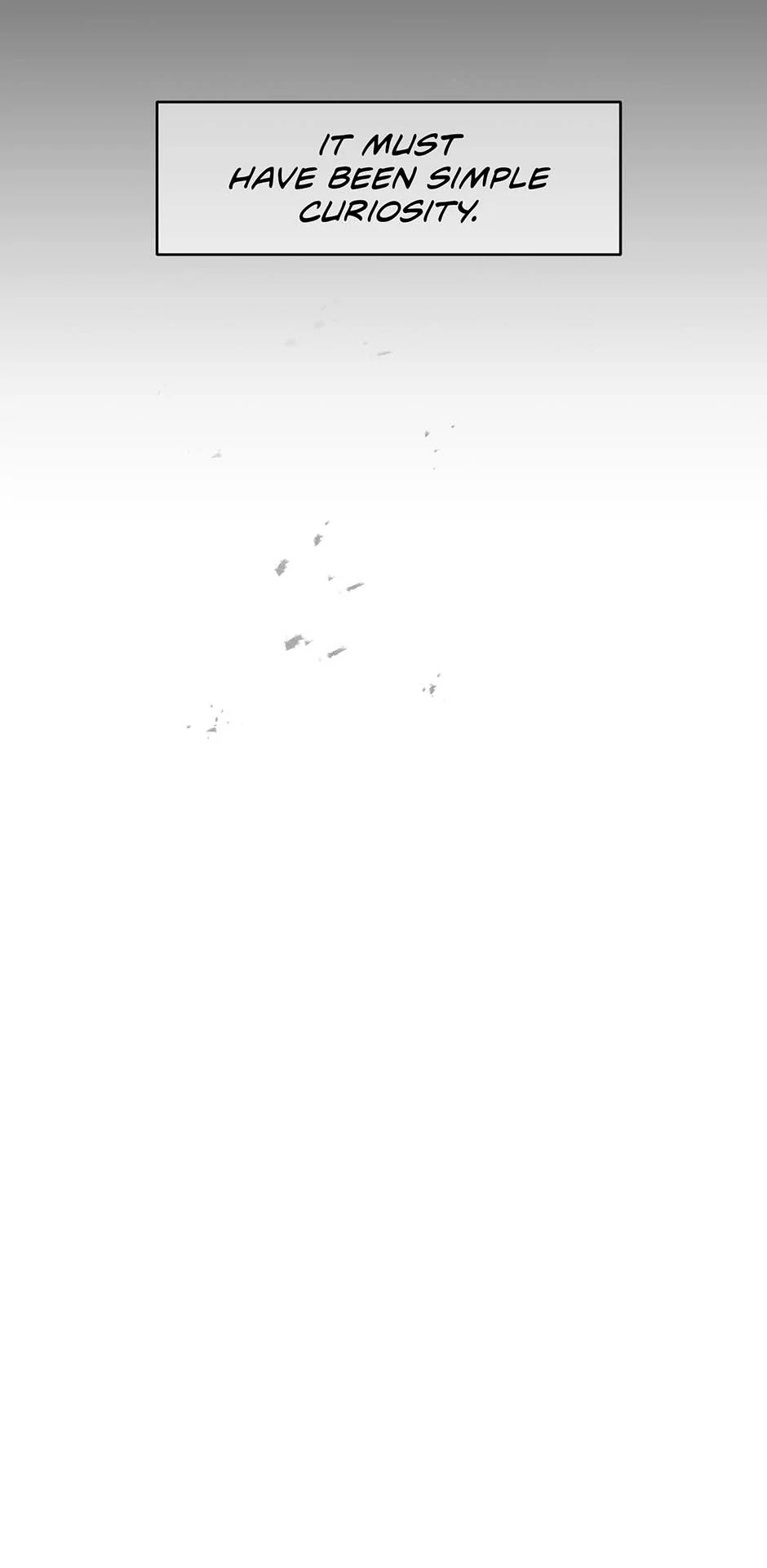 Image page 13