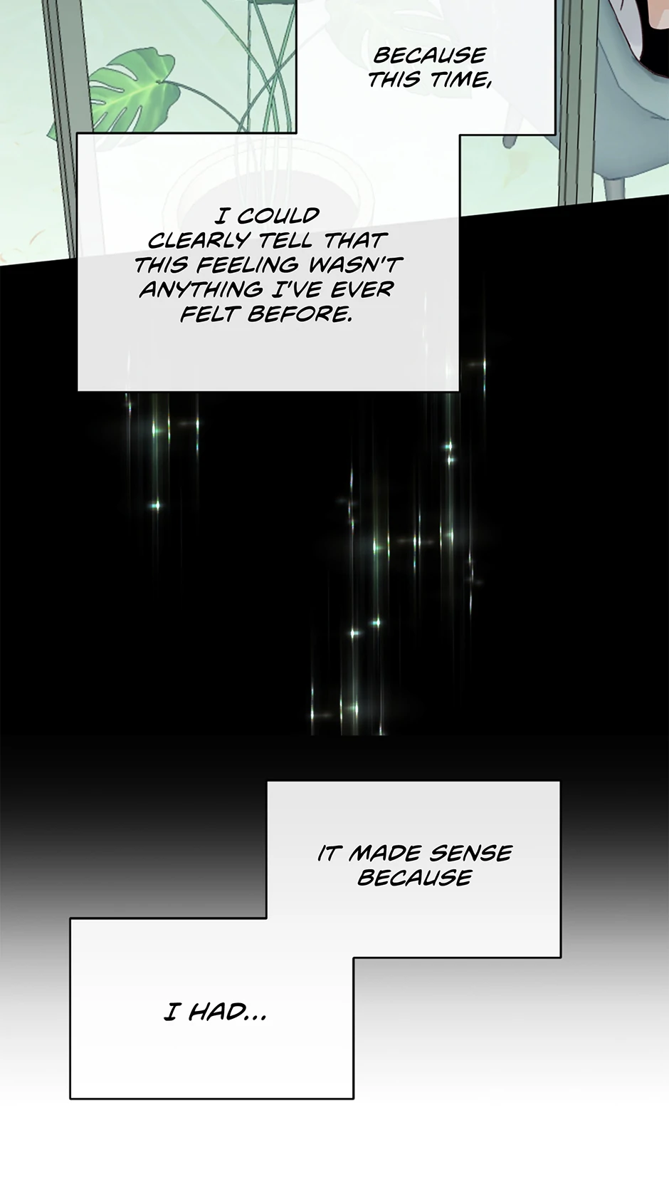 Image page 31