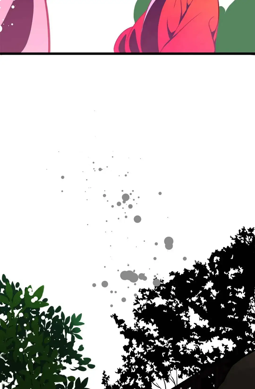 Image page 16