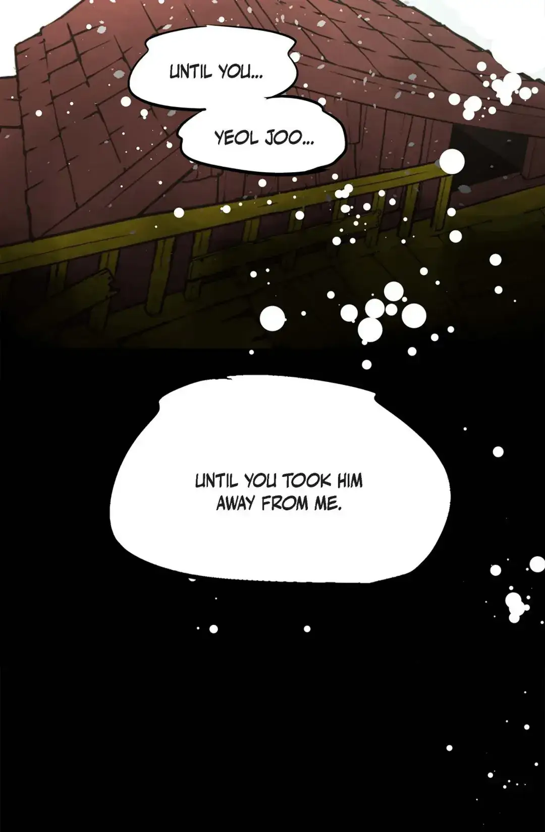 Image page 24