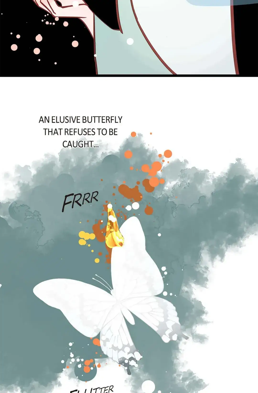 Image page 11