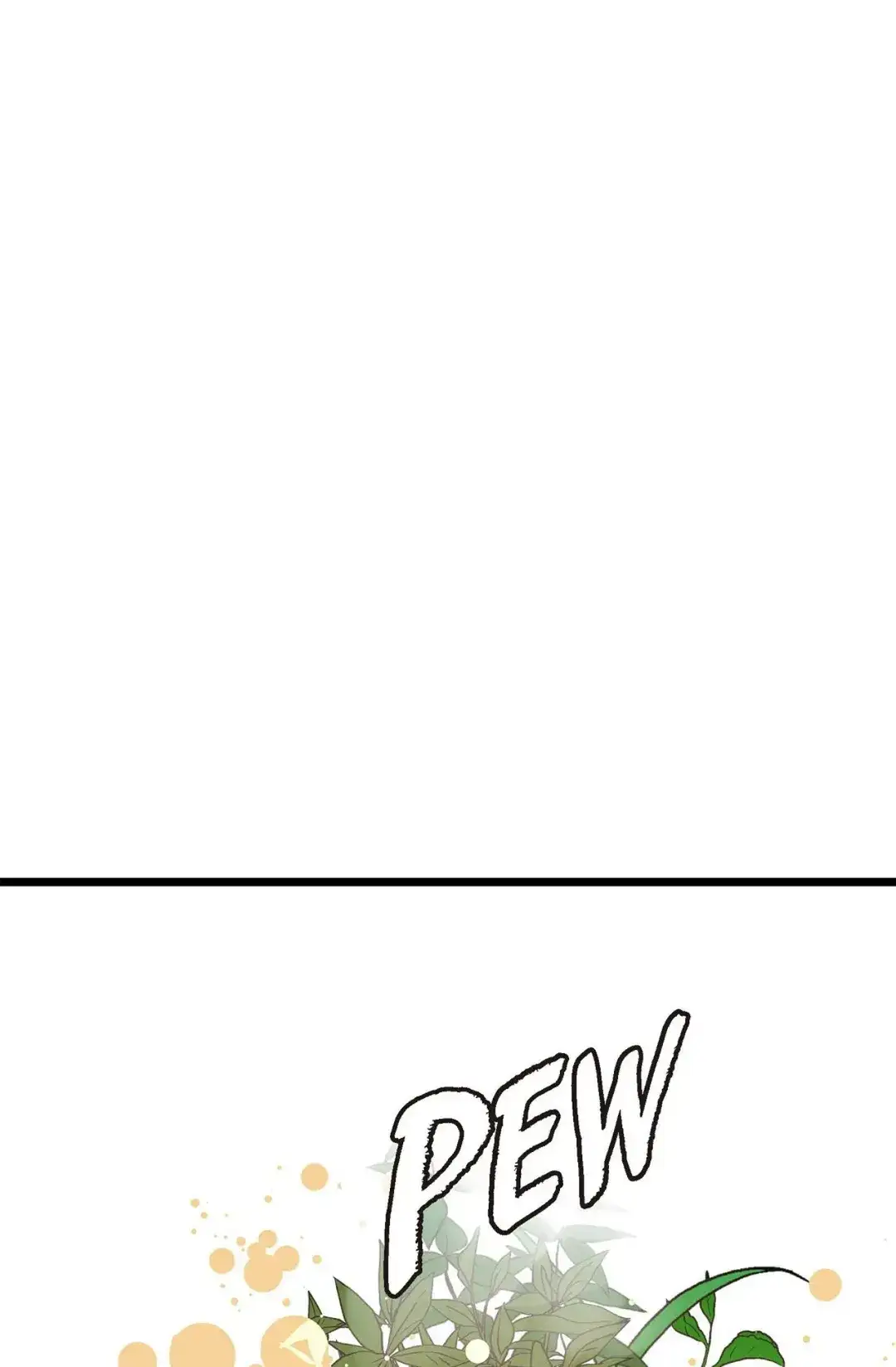 Image page 8