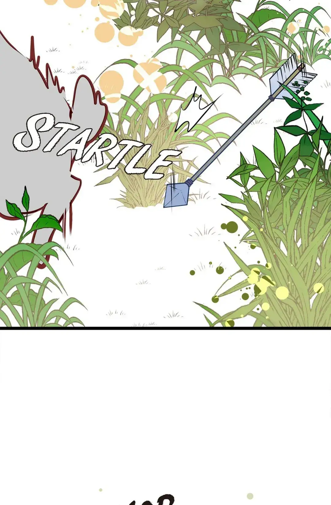 Image page 9
