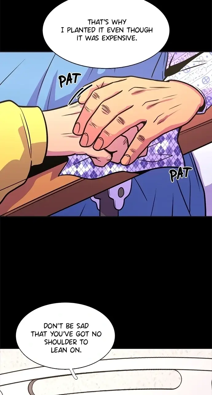 Image page 11