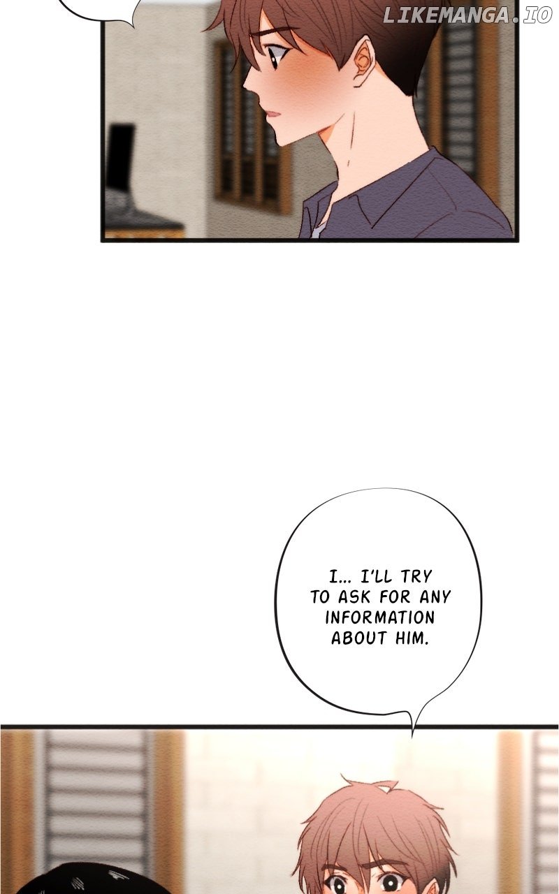 Image page 13