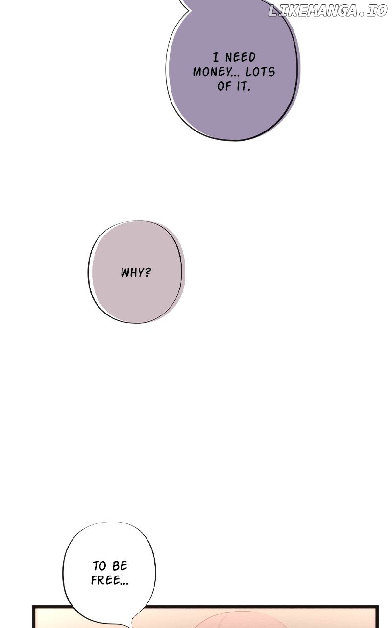 Image page 19