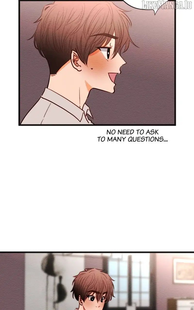 Image page 8