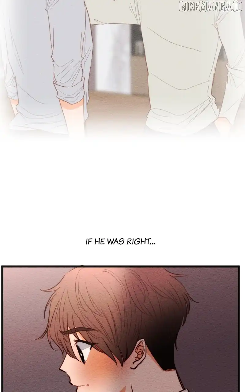 Image page 11