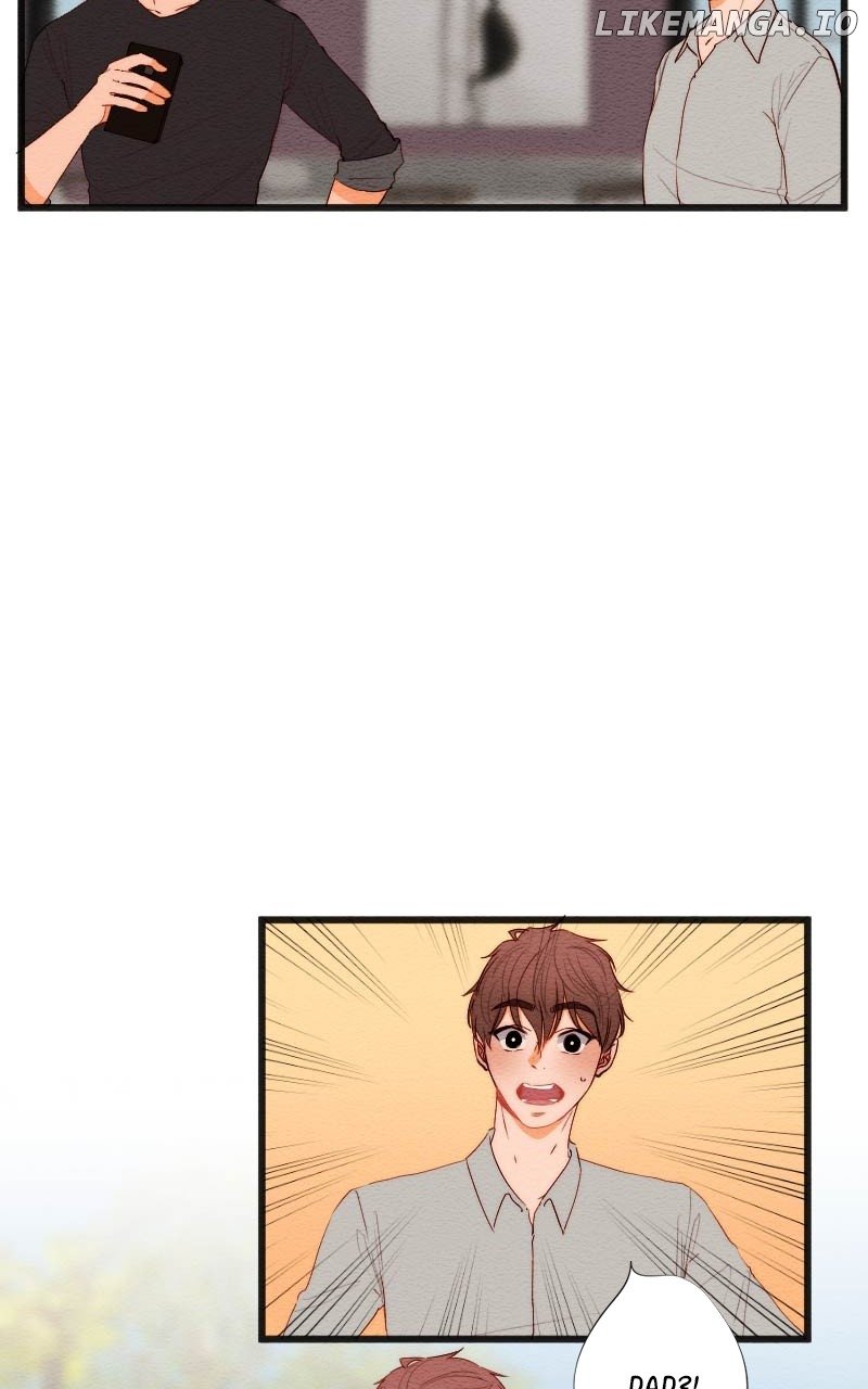 Image page 7