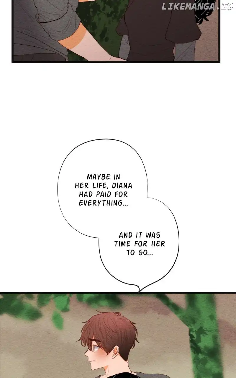 Image page 20
