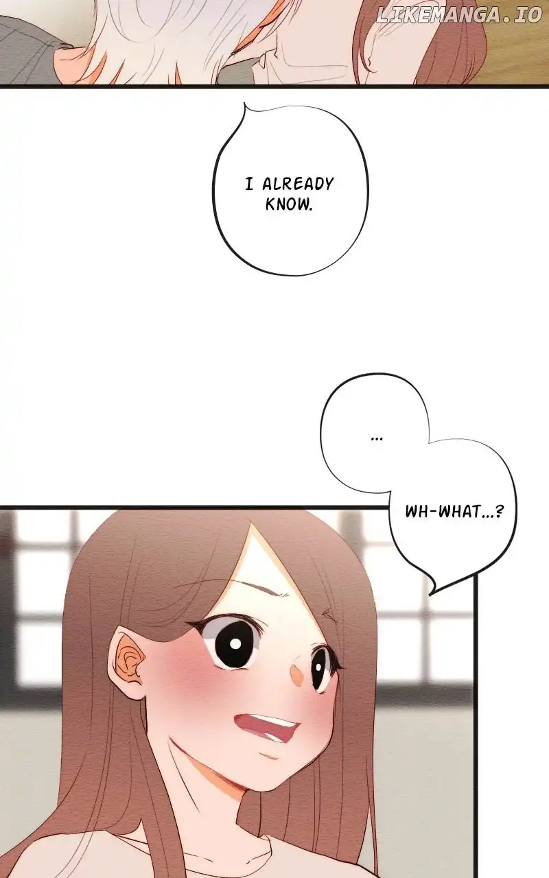 Image page 13