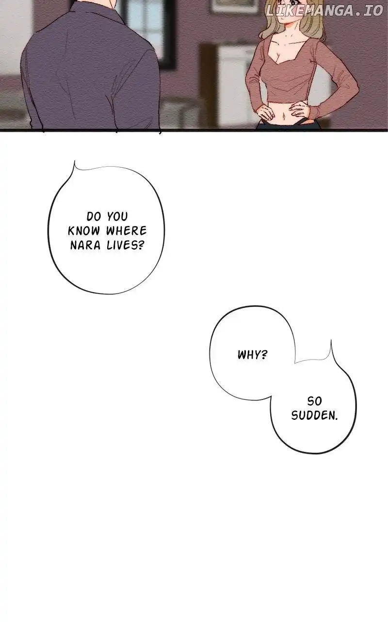 Image page 24