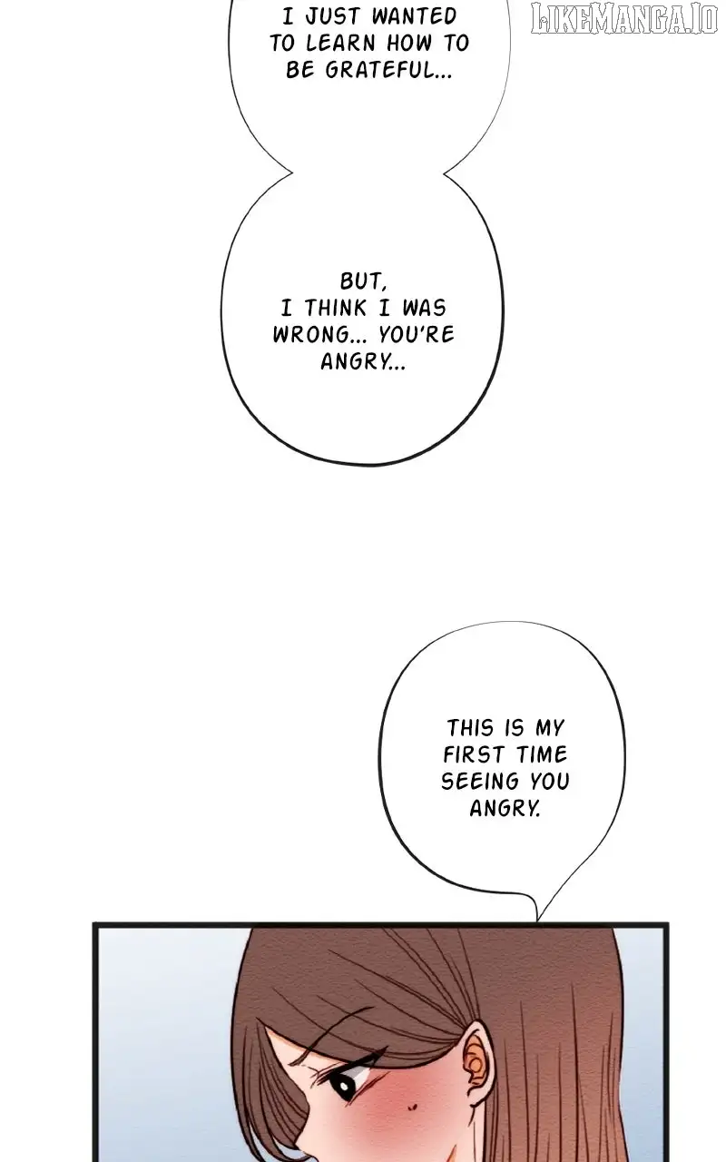 Image page 24