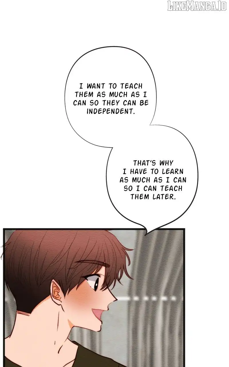 Image page 28