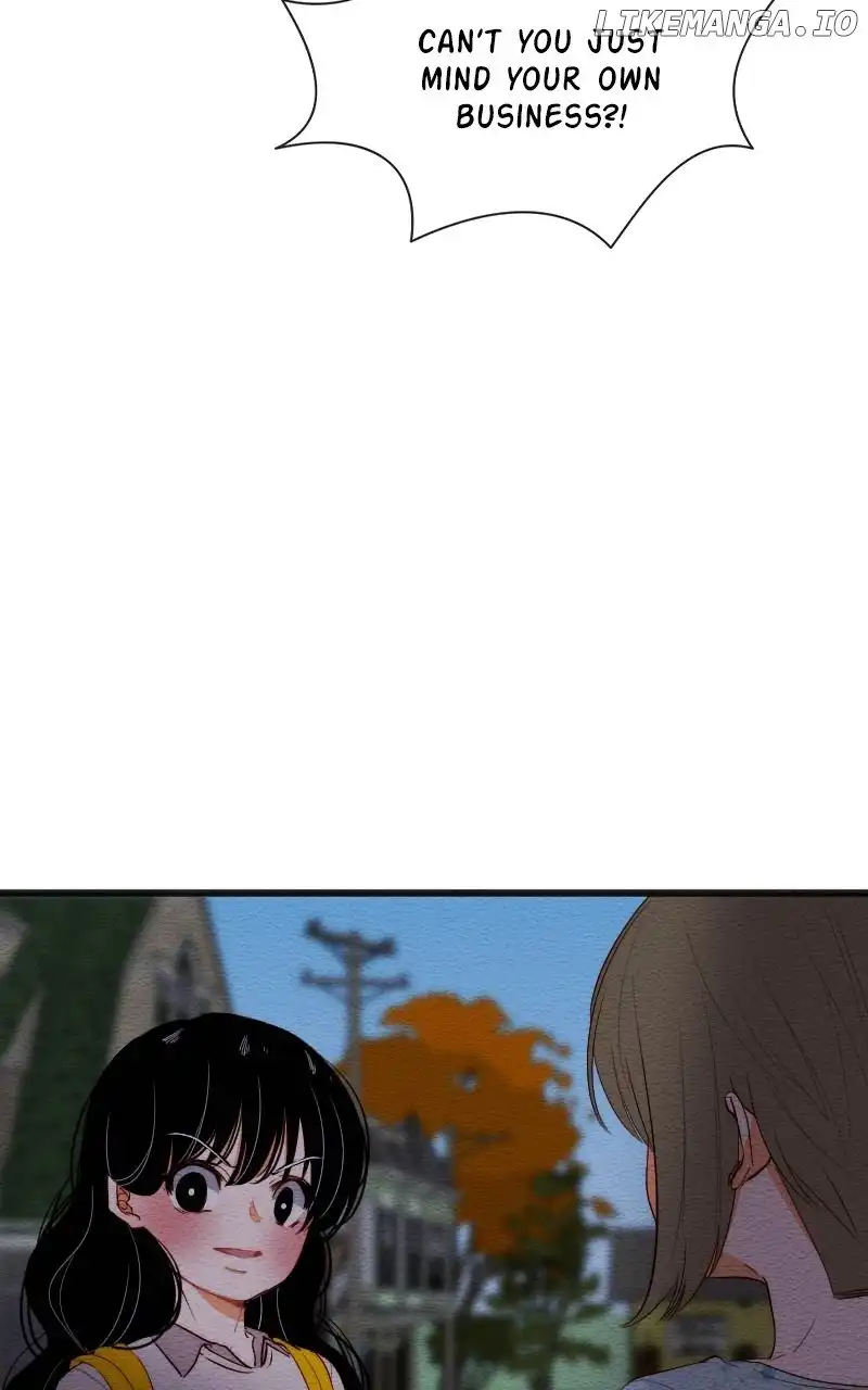 Image page 11