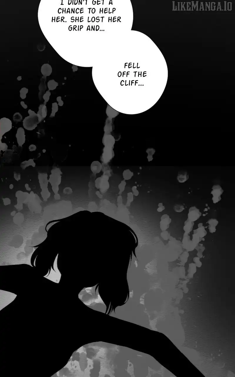 Image page 13