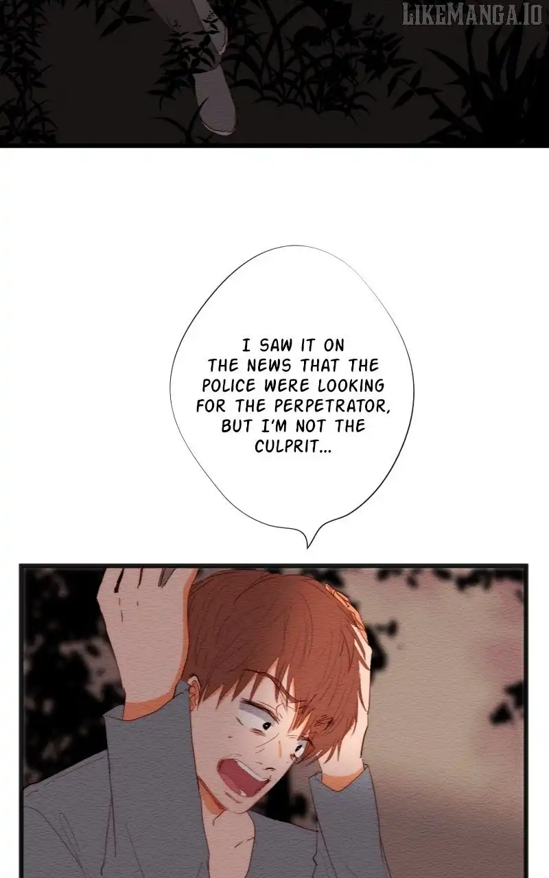 Image page 19