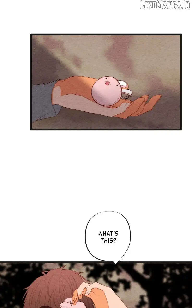 Image page 21
