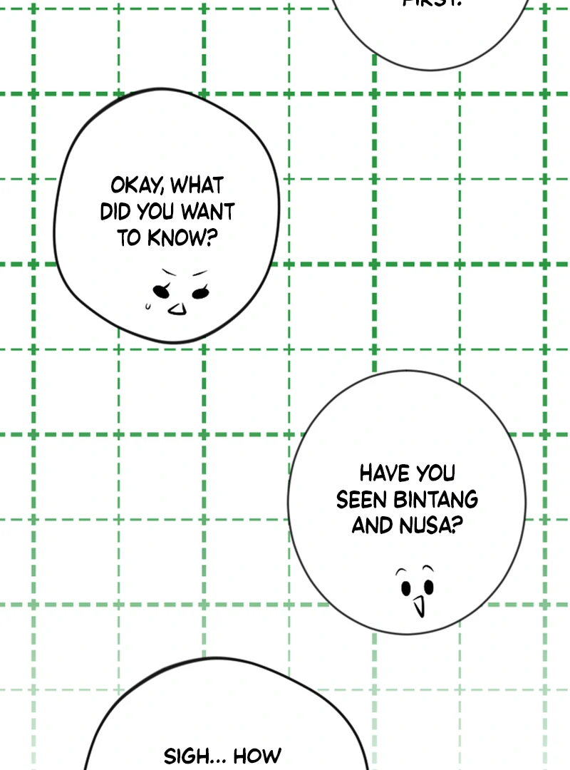 Image page 8