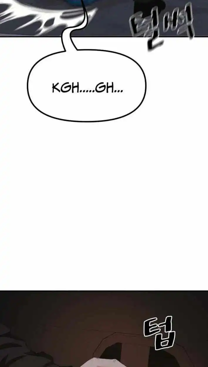 Image page 45