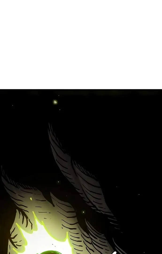 Image page 11